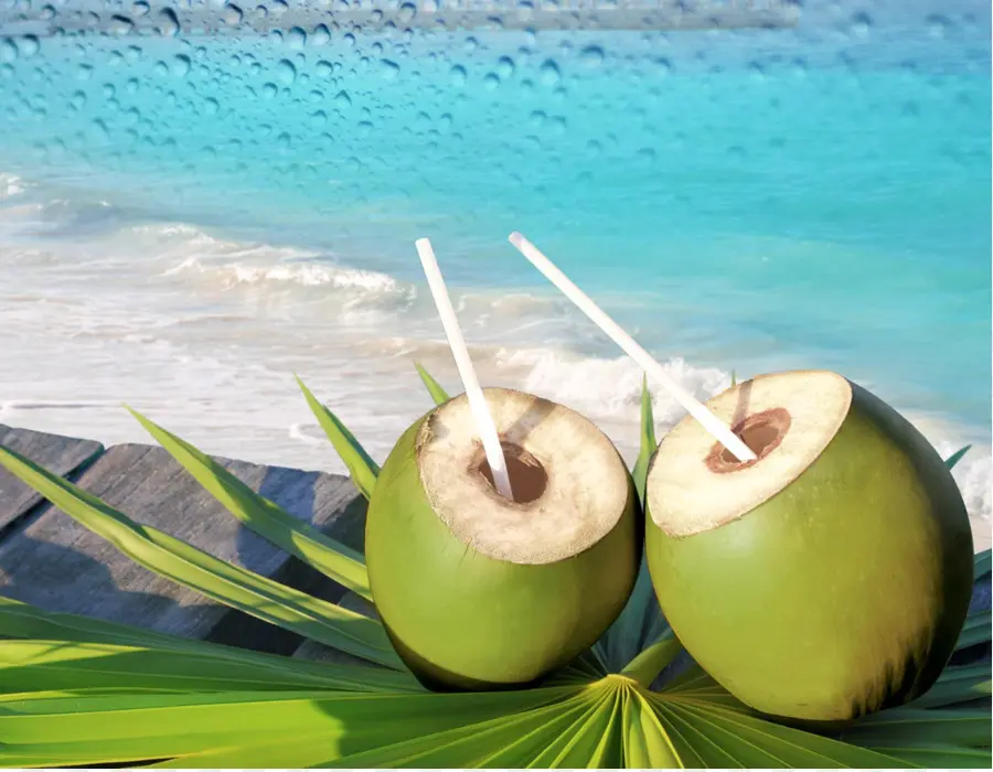 Las Bebidas Gaseosas，Agua De Coco PNG