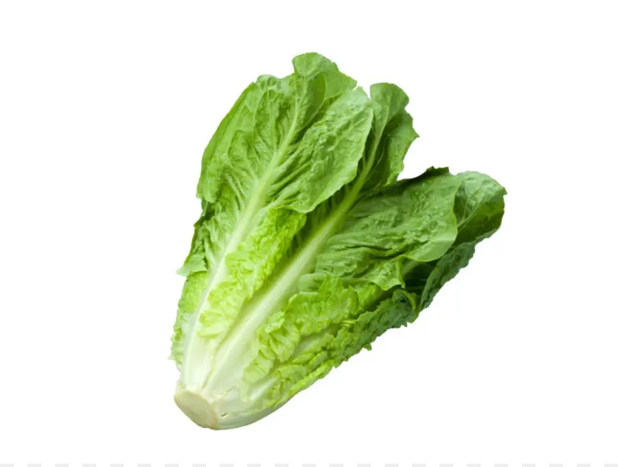 Celtuce，Alimentos Orgánicos PNG