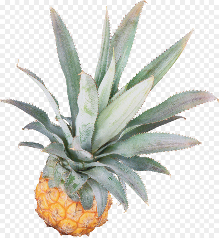 Piña，La Fruta PNG