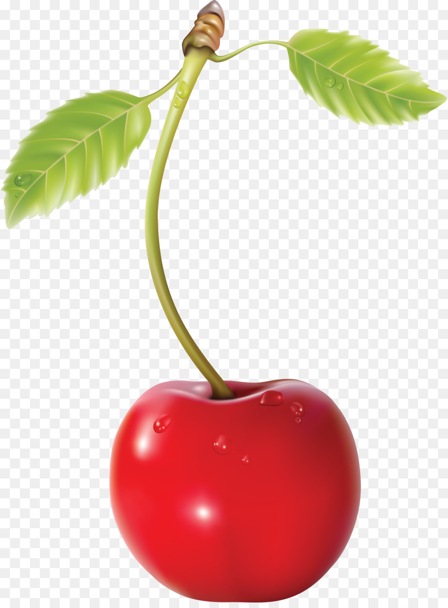 Cereza Roja，Provenir PNG