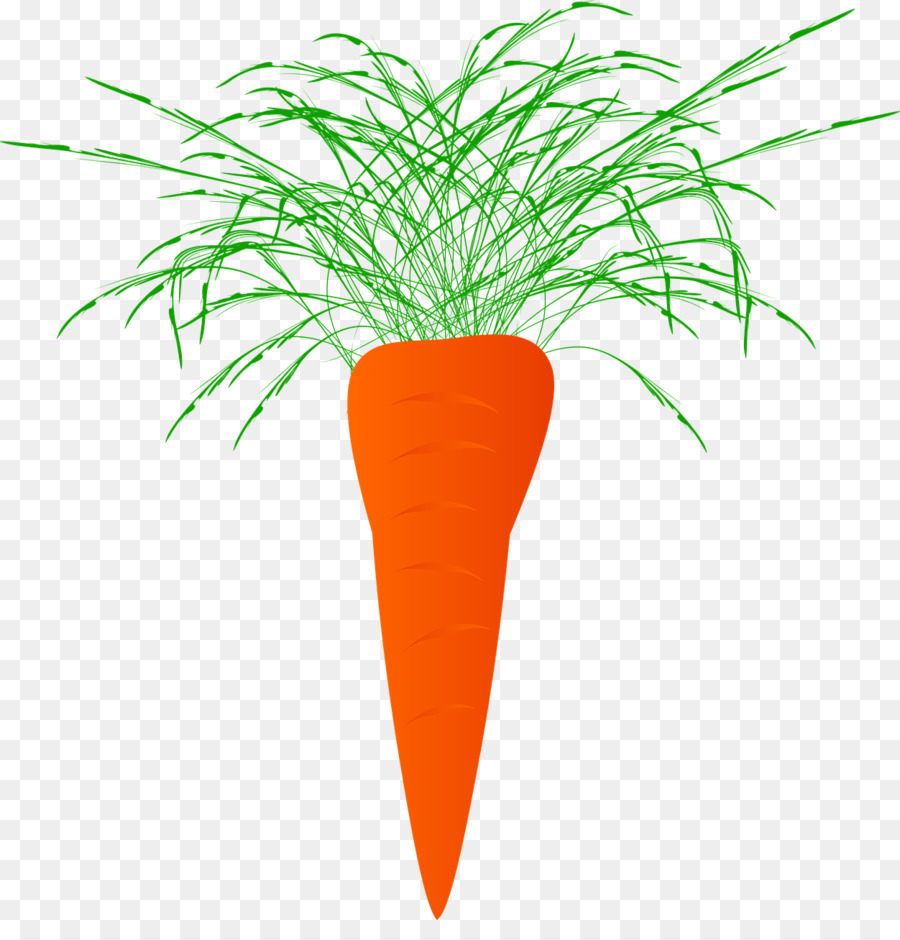 Zanahoria，Planta PNG