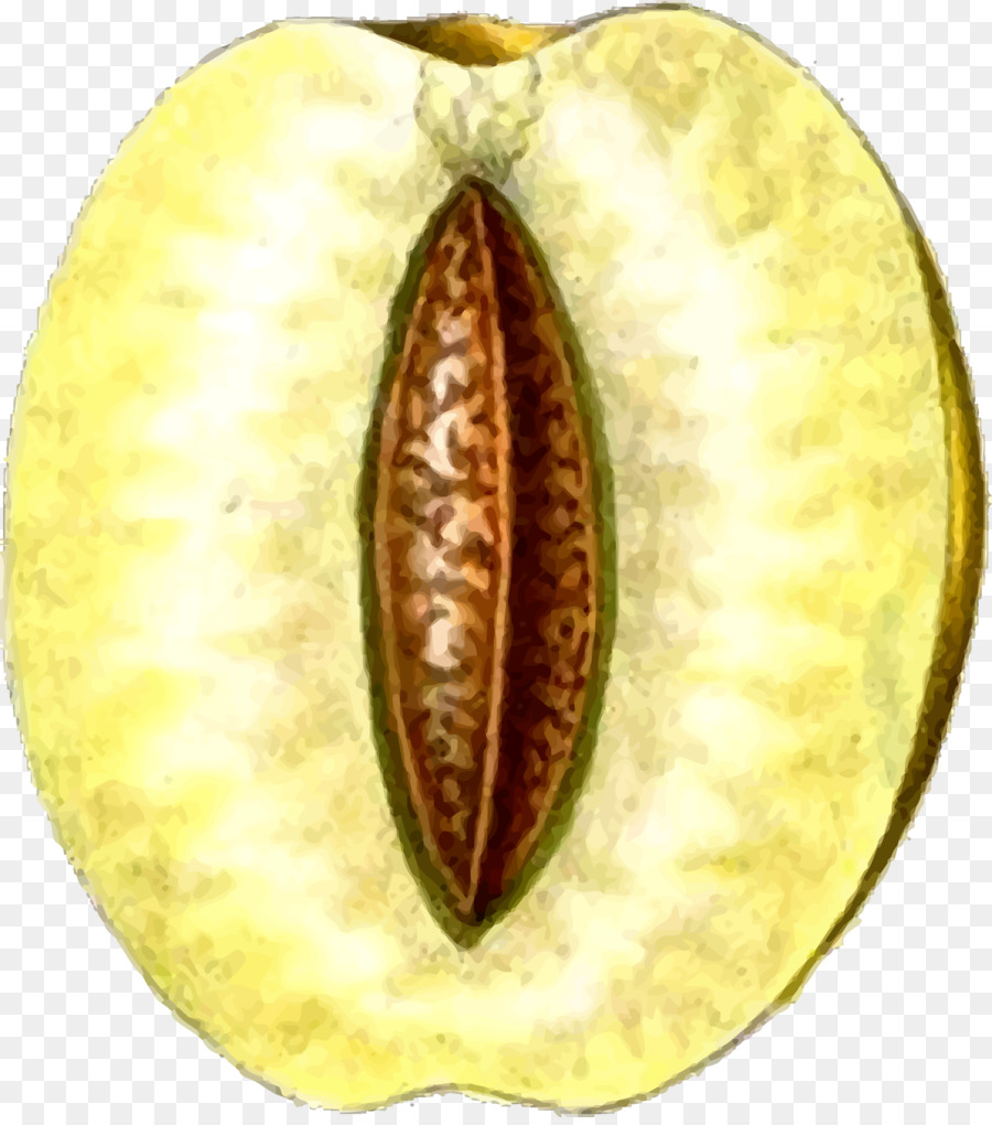 Alimento，Ciruela PNG