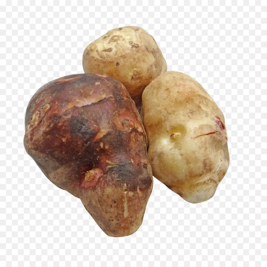 Papas，Raíz PNG