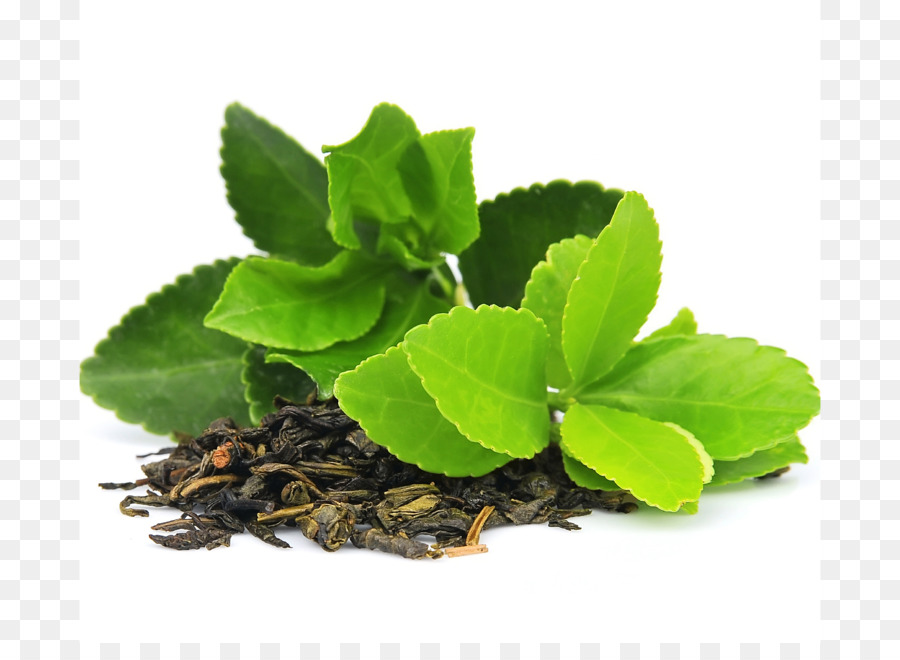 Té，Té Verde PNG