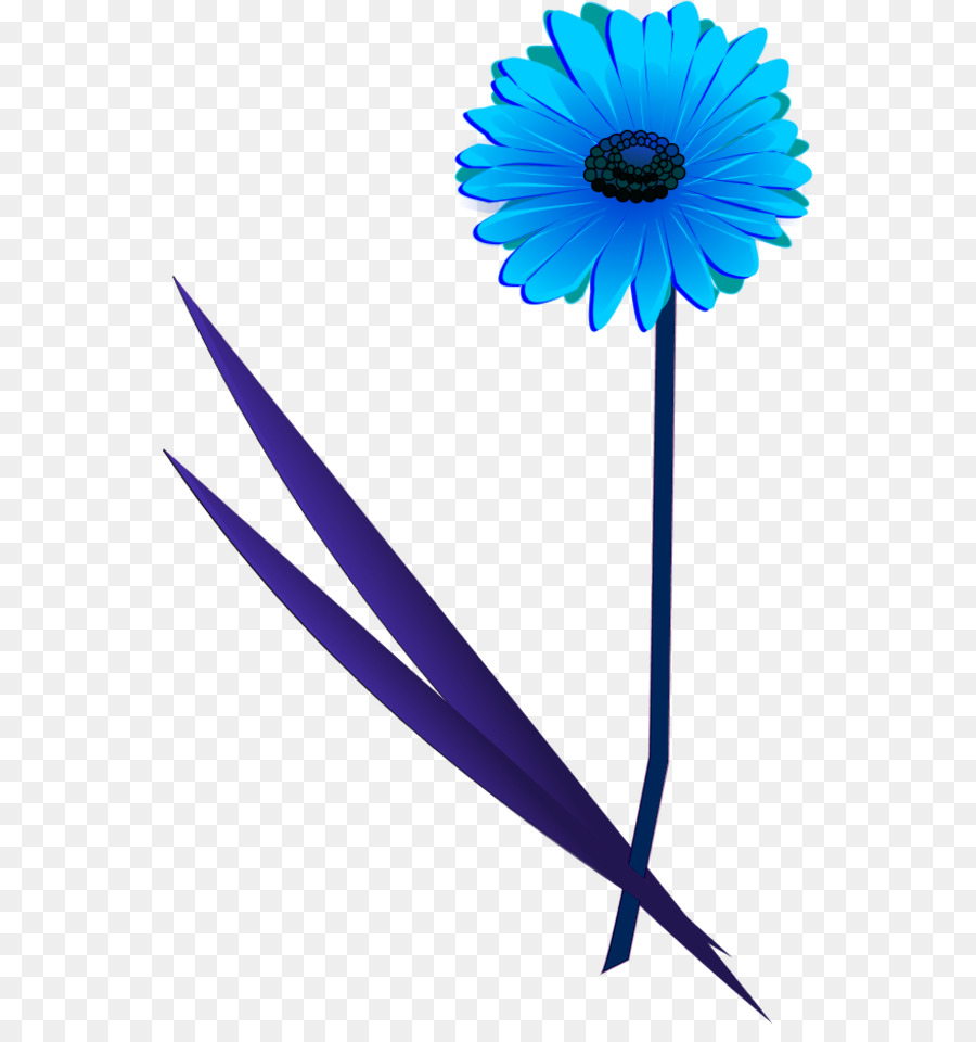 Flor Azul，Florecer PNG