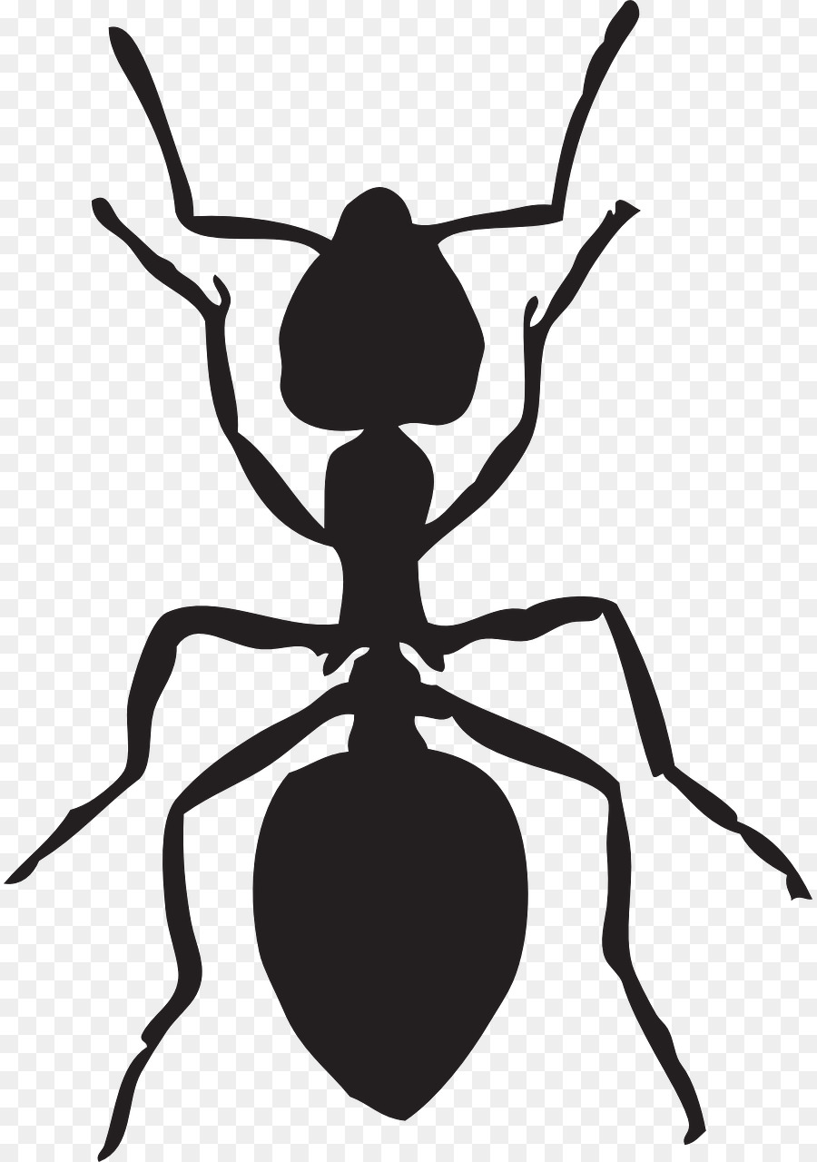 Ant，Descargar PNG