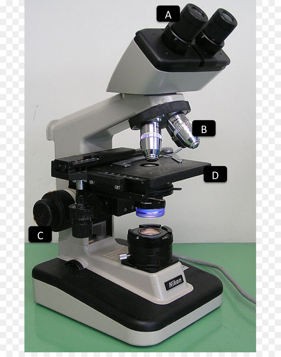 Luz，Microscopio Optico PNG