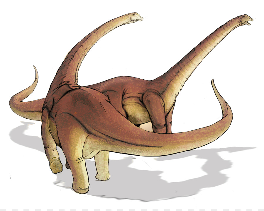 Alamosaurus，Dinosaurio De Tamaño PNG