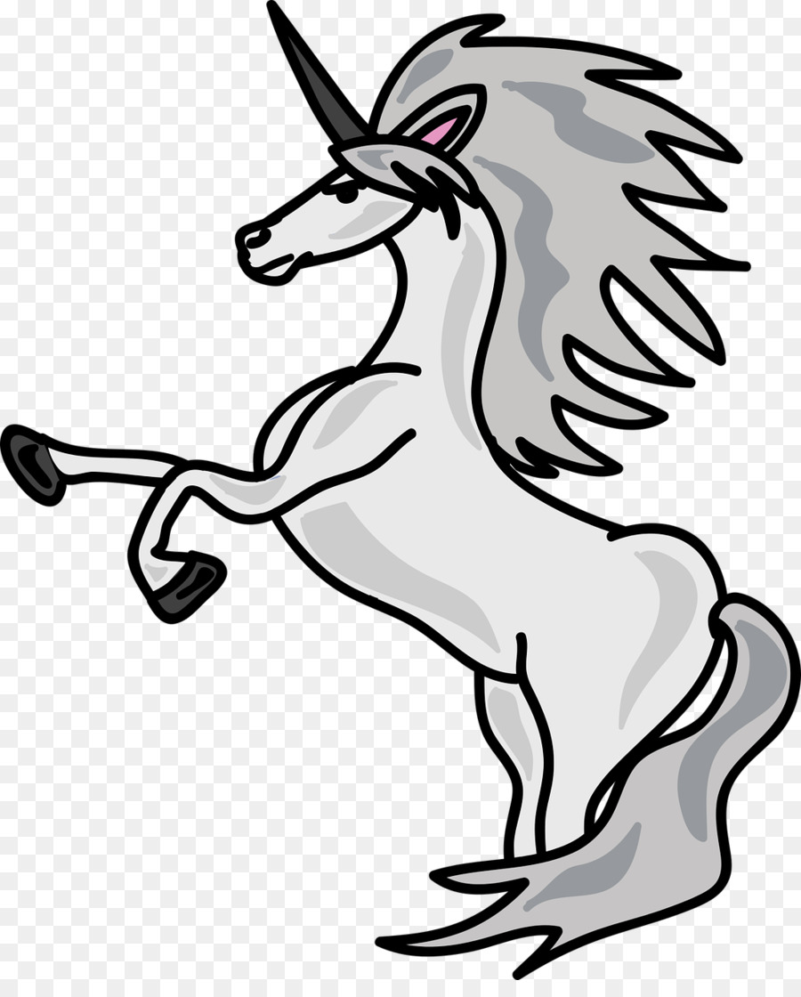 Amazoncom，Unicornio PNG