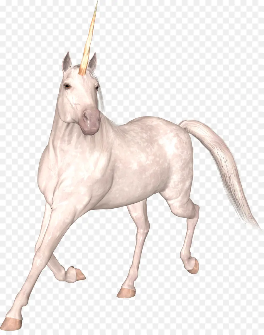 Unicornio Blanco，Mítico PNG