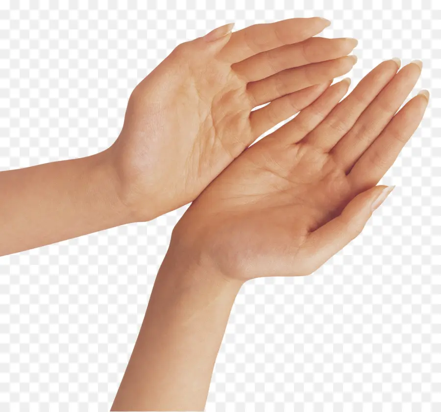 Mano，Dedo PNG