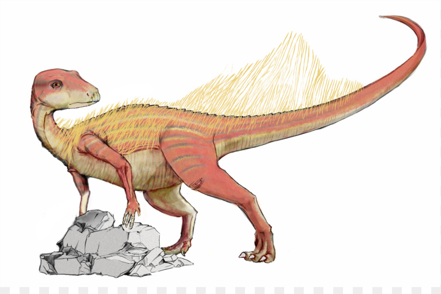 Abrictosaurus，Heterodontosaurus PNG