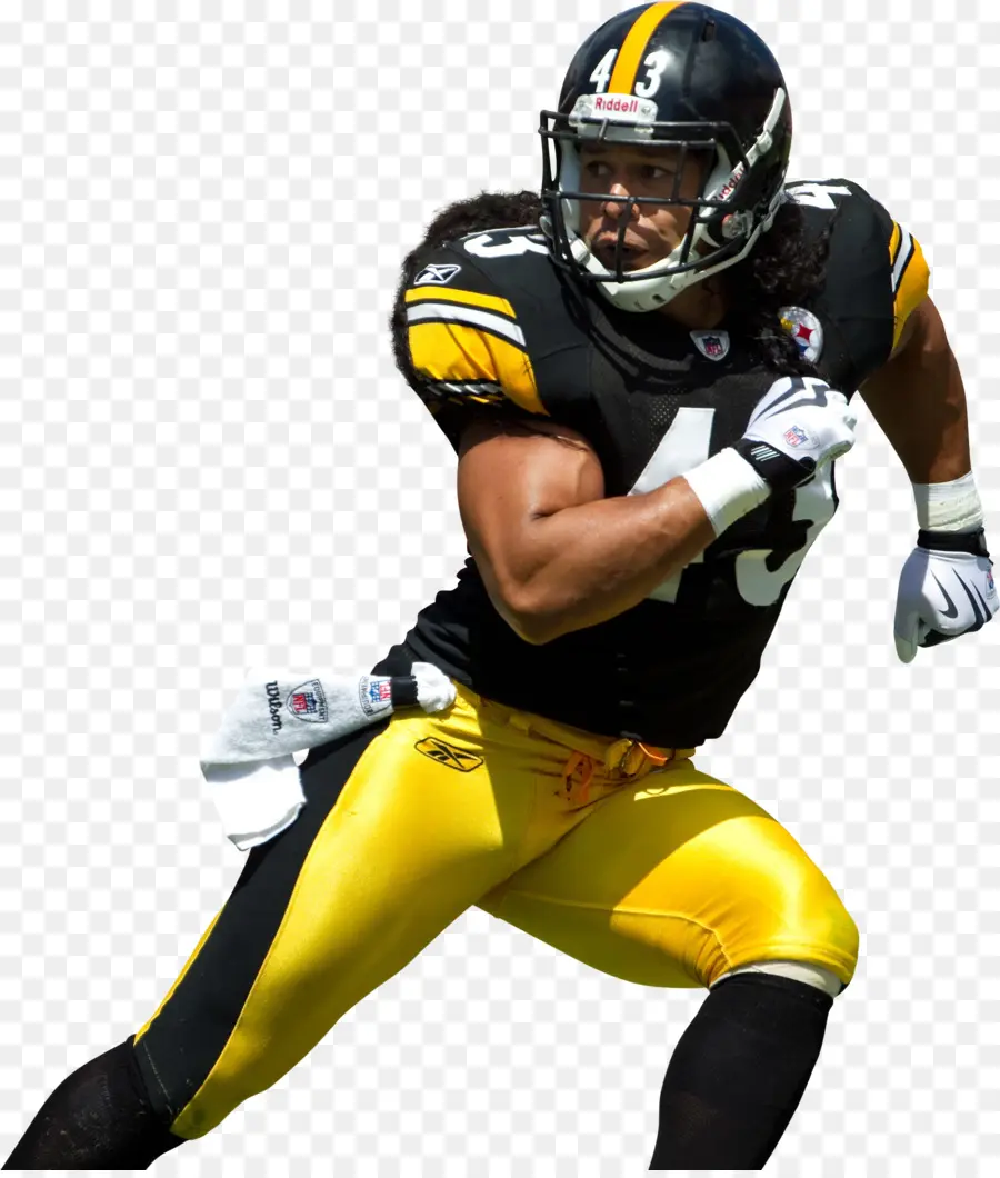 Pittsburgh Steelers，La Nfl PNG