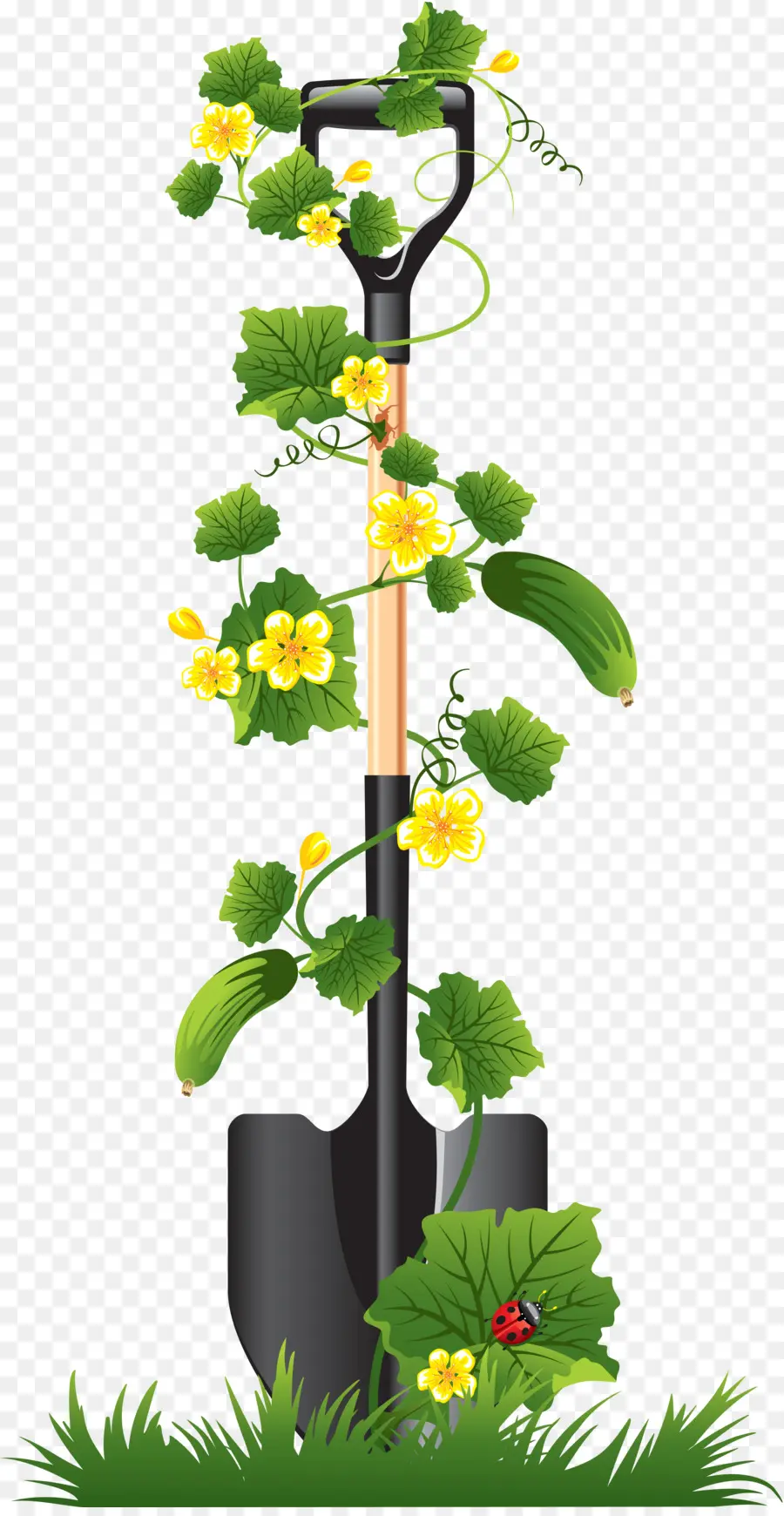 Pala Con Plantas，Plantas PNG