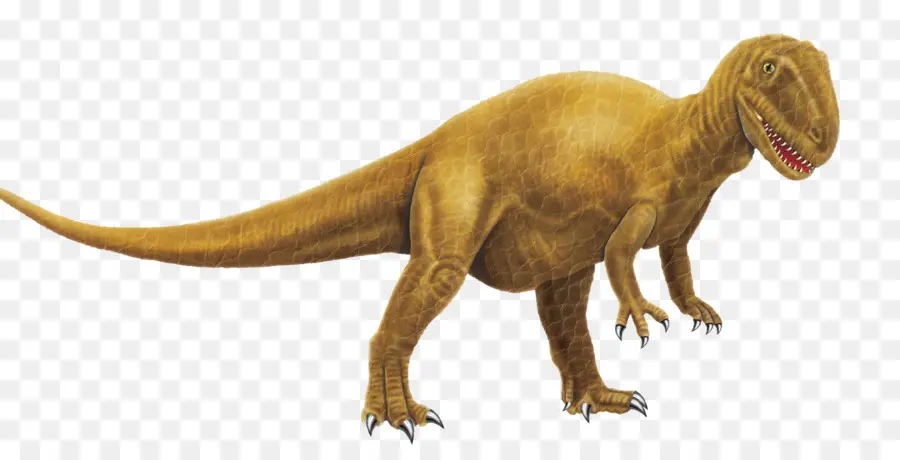 Tyrannosaurus，Dinosaurio PNG