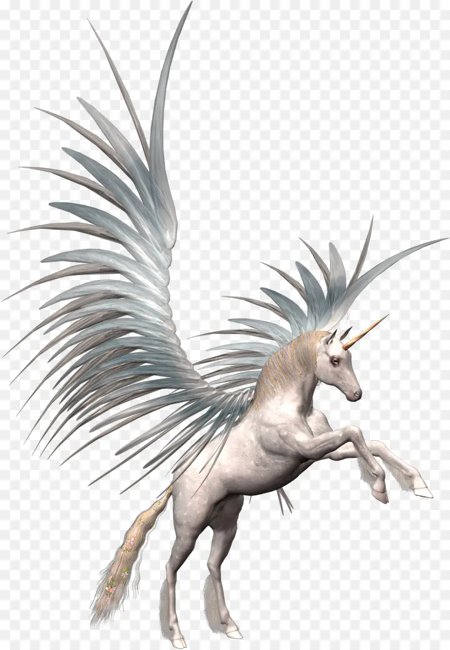 Unicornio Blanco，Alas PNG