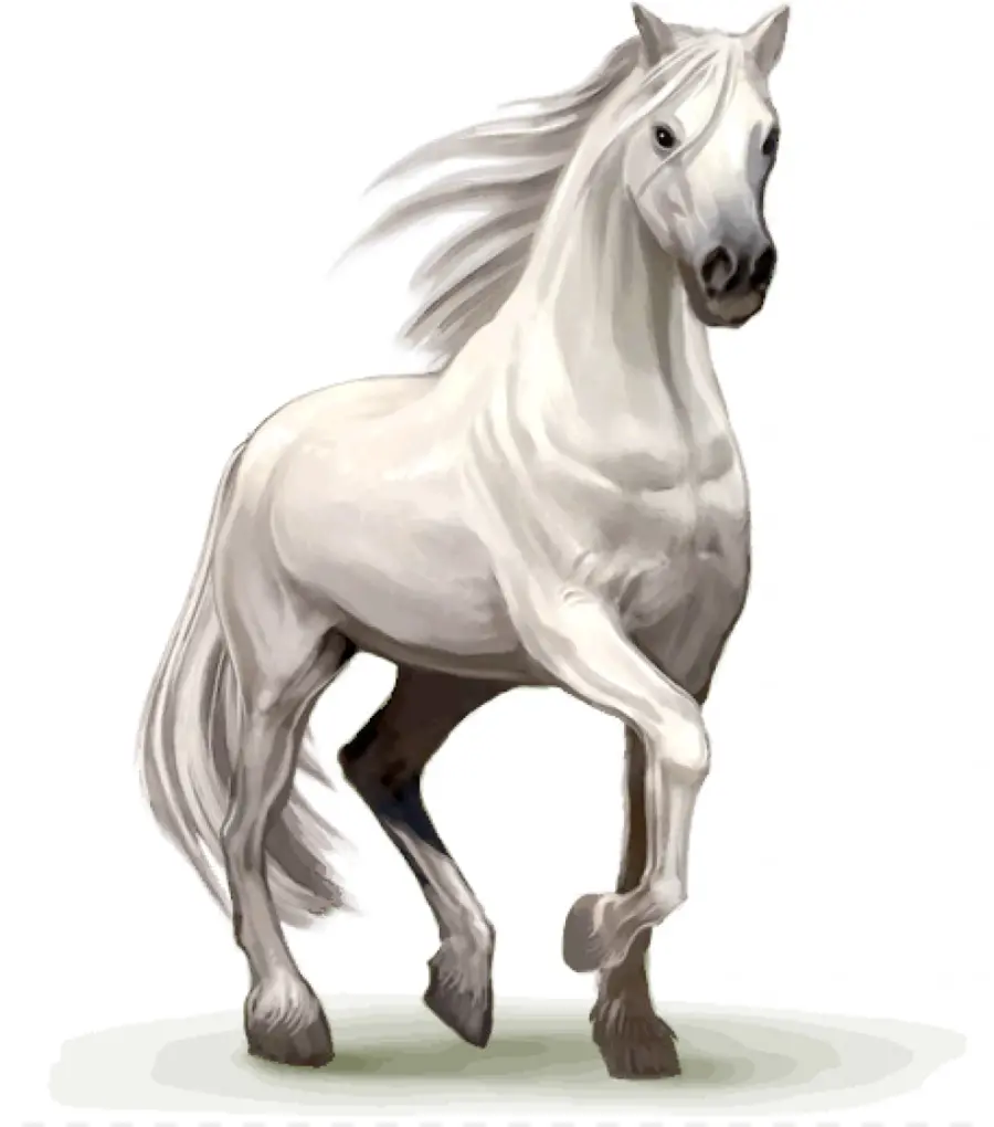 Howrse，Caballo PNG