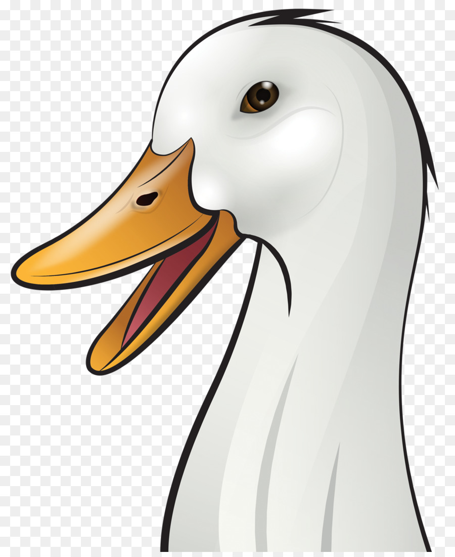 Pato，Ventana PNG