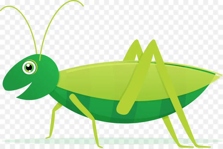 Grasshopper，Fotografía De Stock PNG