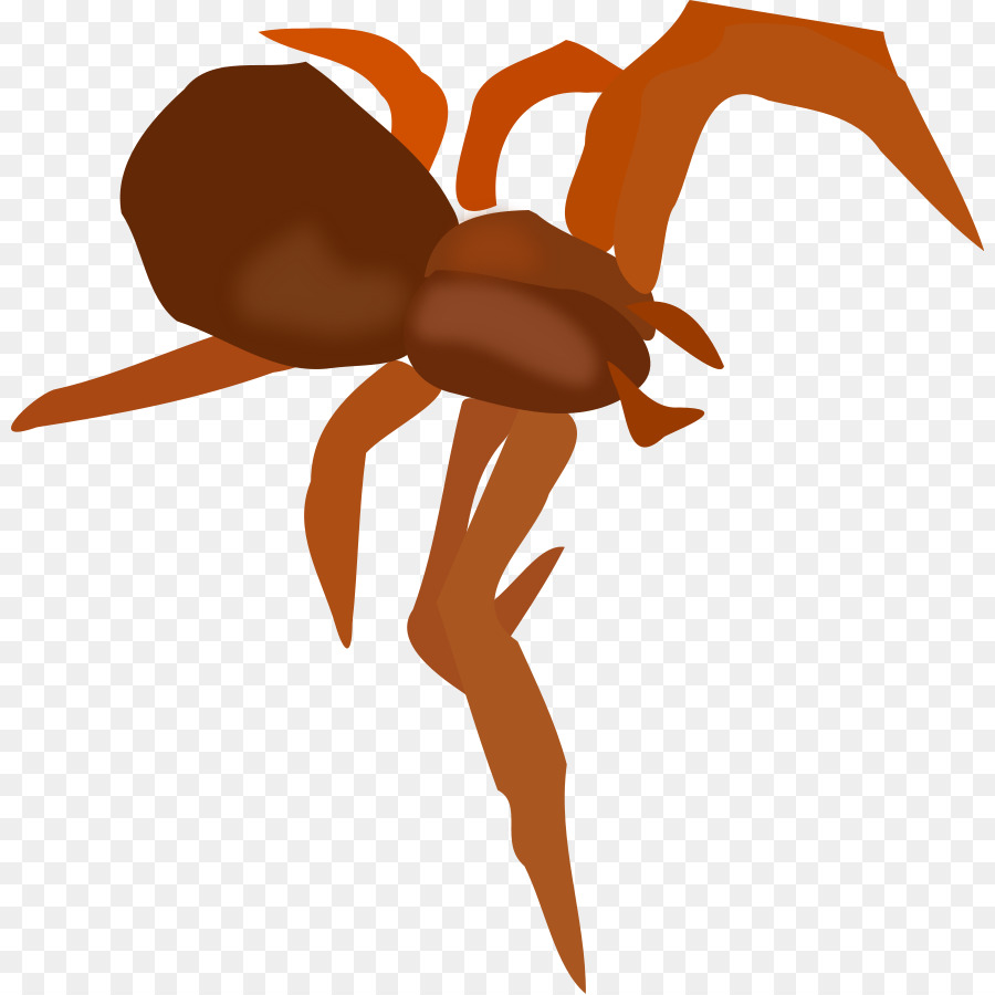 Araña，Iconos De Equipo PNG