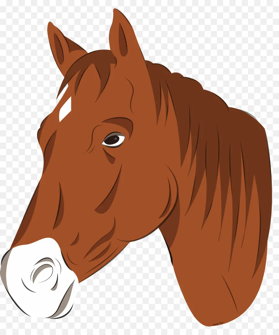 Mustang，Pony PNG