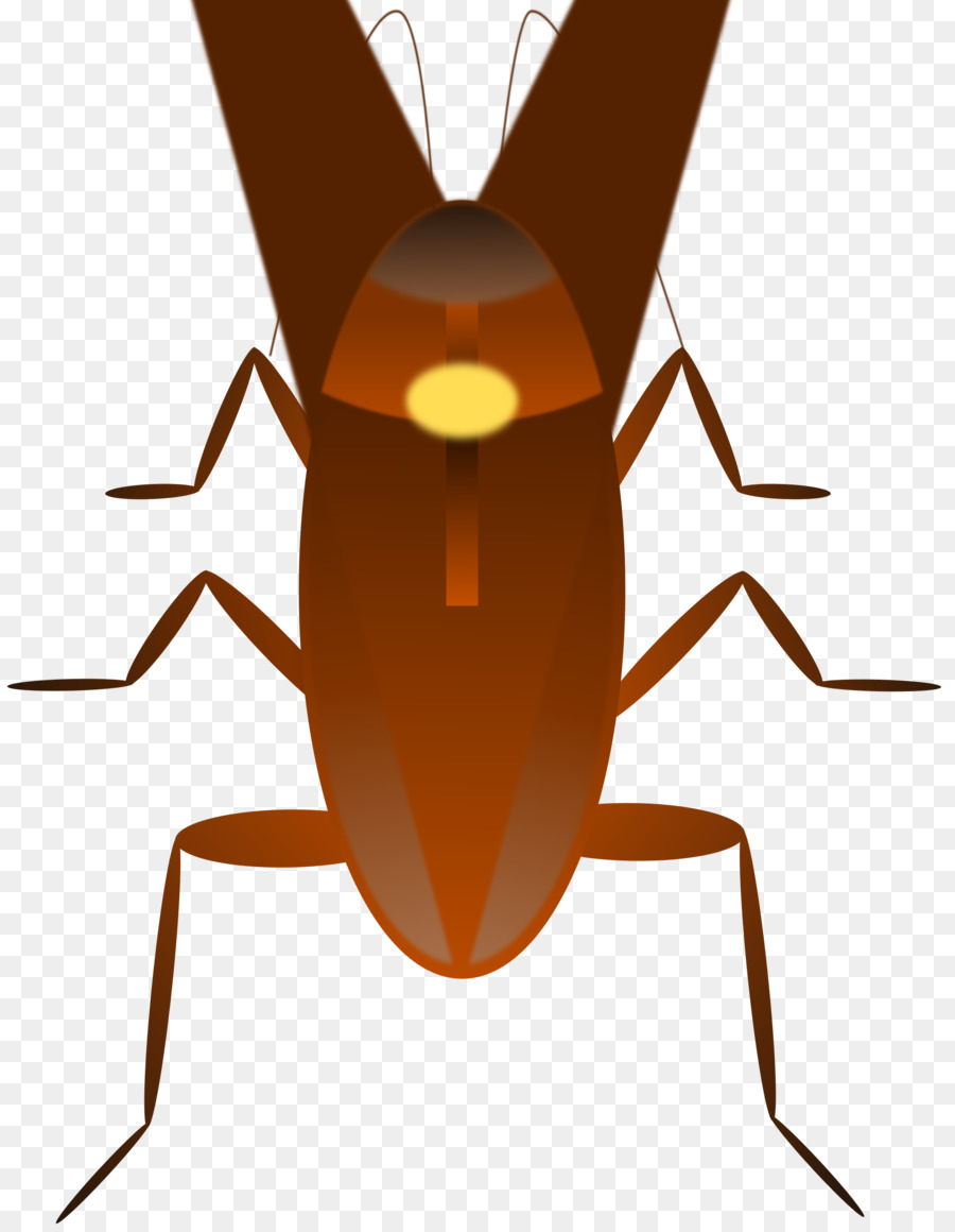 Cucaracha，El Dr Cucaracha PNG