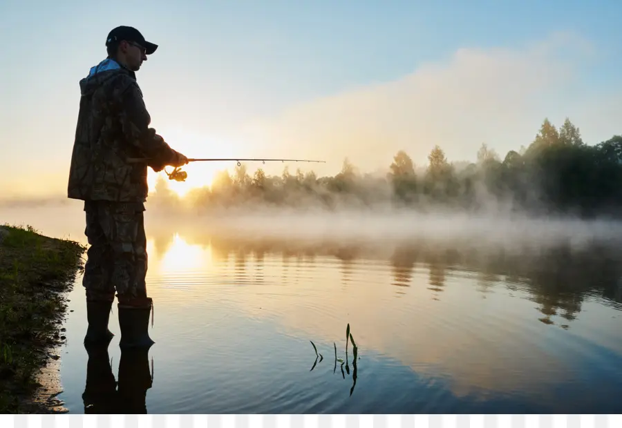 La Pesca，Cañas De Pesca PNG