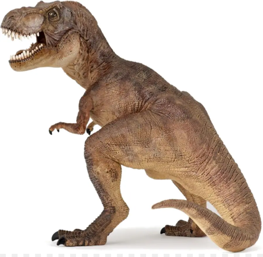 Cazador De Dinosaurios Carnívoros，Tyrannosaurus PNG