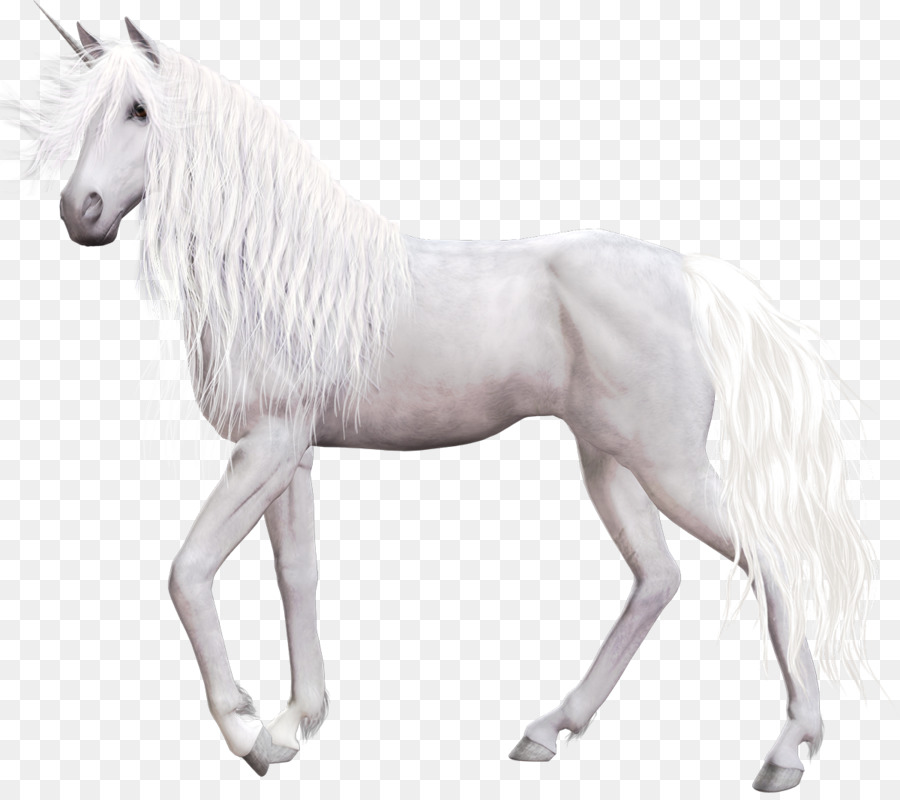 Unicornio，Mítico PNG