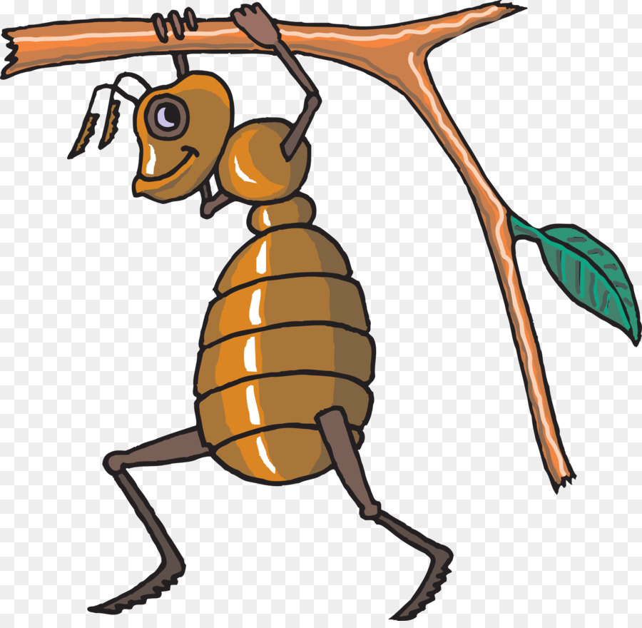 Abeja，Hornet PNG