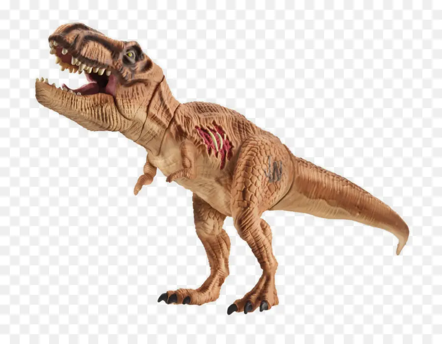 Velociraptor，El Tyrannosaurus Rex PNG