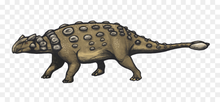 Ankylosaurus，Stegosaurus PNG
