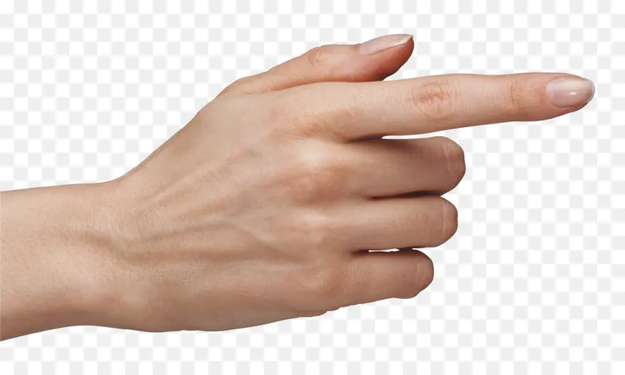 Mano，Dedo PNG