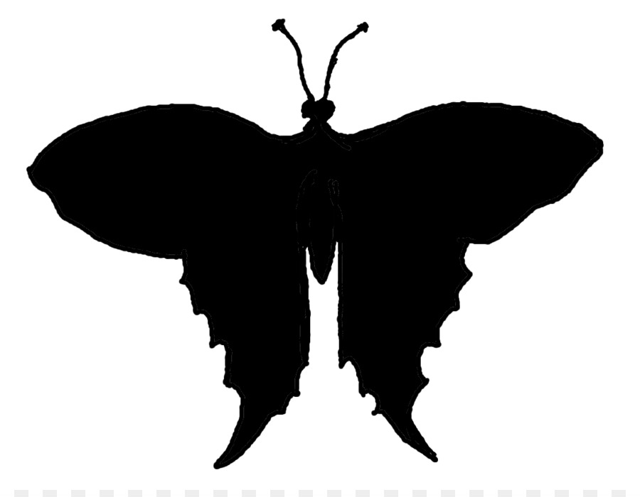 Mariposa，Silueta PNG