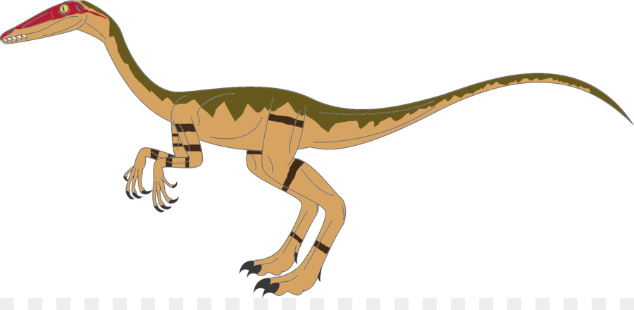 Tyrannosaurus，Coelophysis PNG