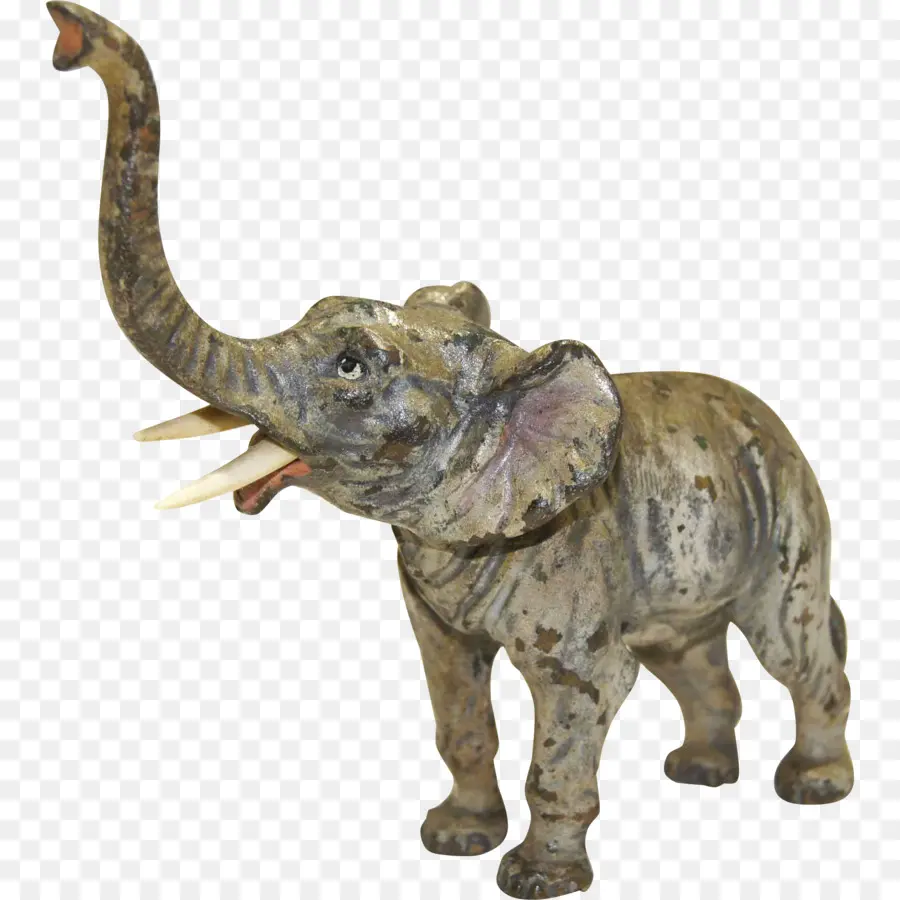 El Elefante Africano，Elefante Asiático PNG