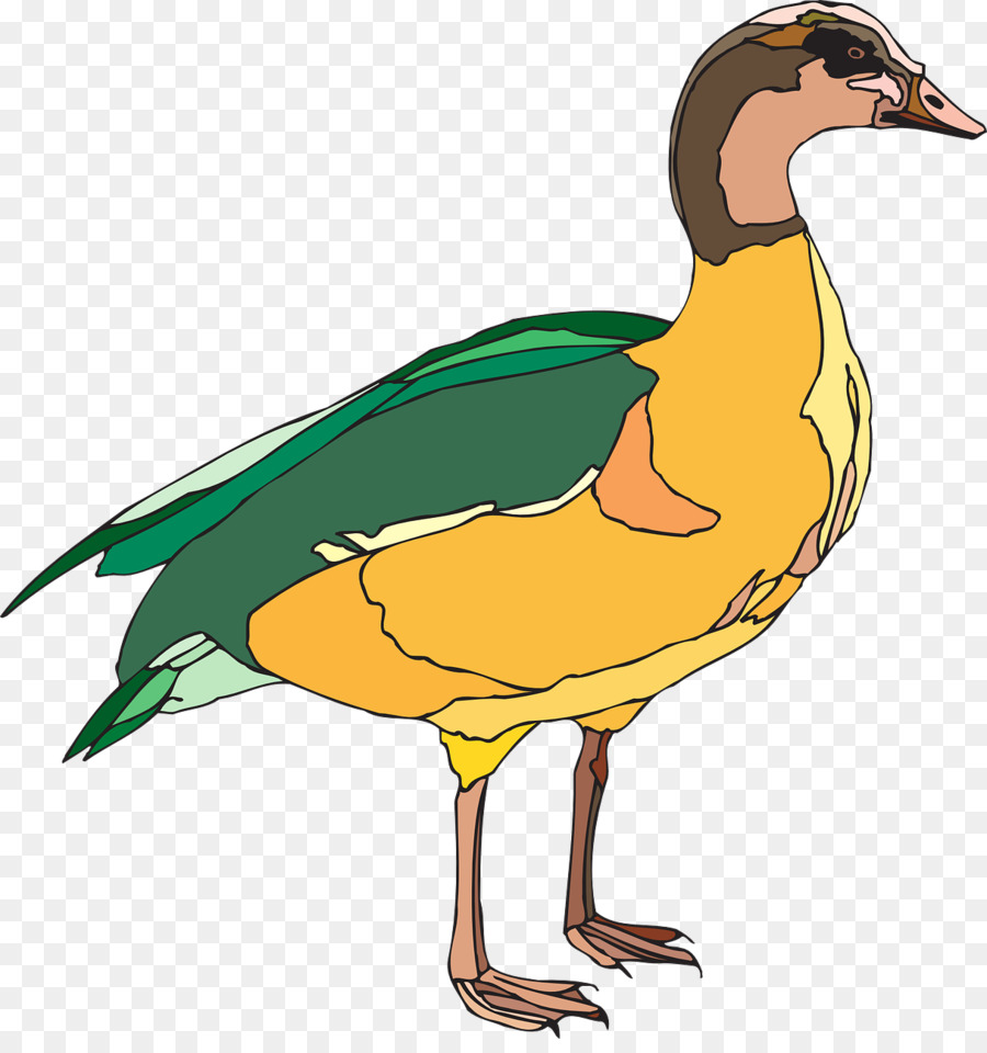 Pato，Pájaro PNG