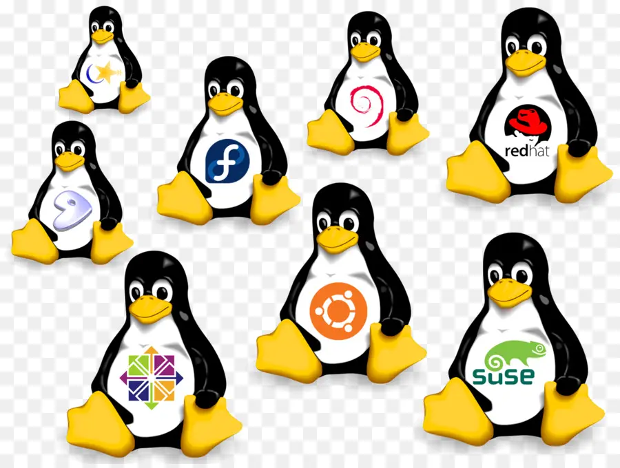 Linux，Distribución De Linux PNG