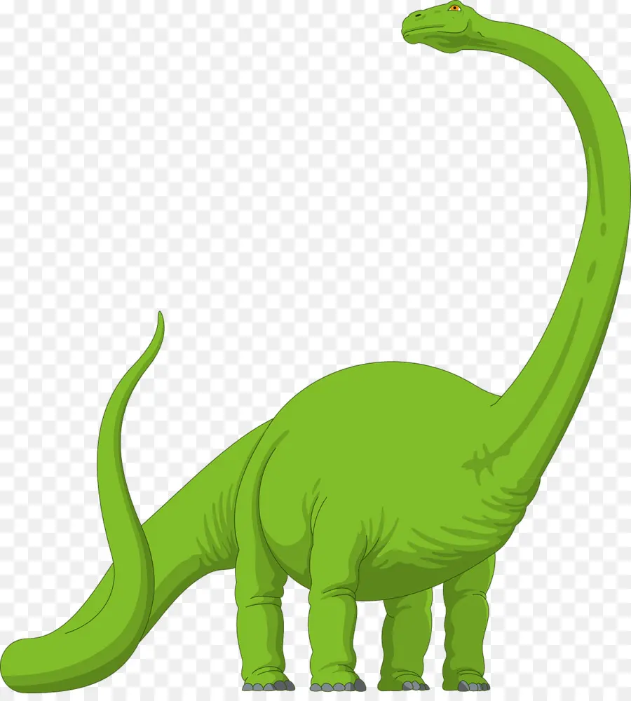 Brachiosaurus，Diplodocus PNG