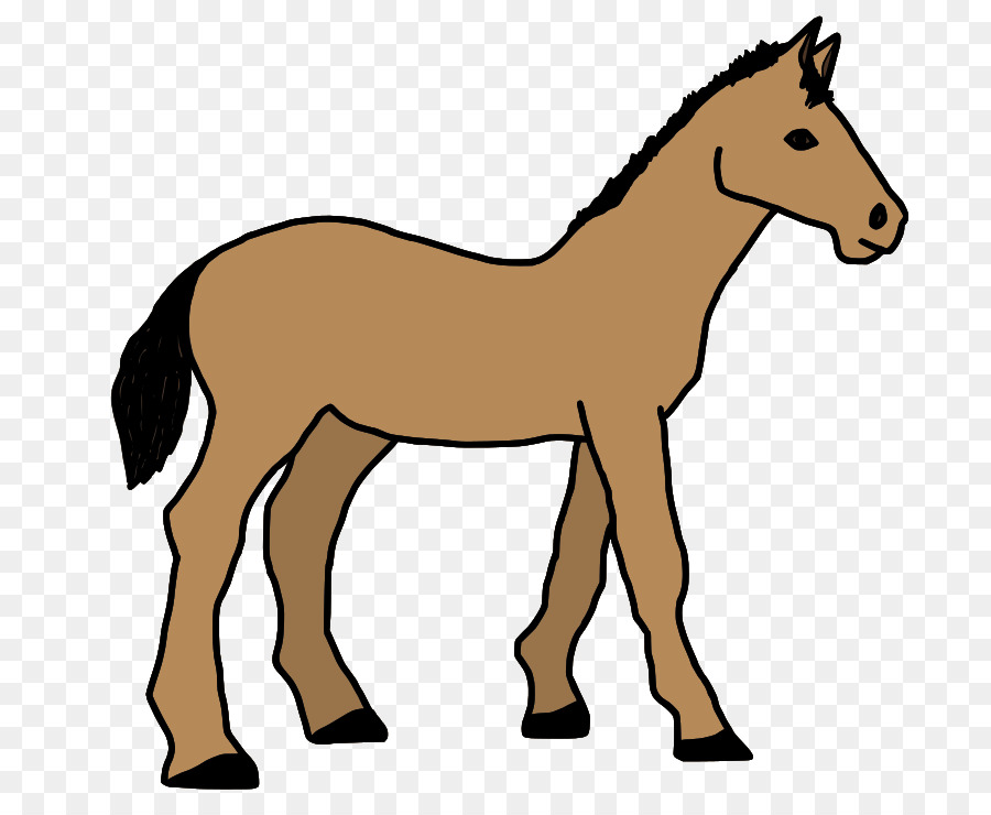 Pony，Caballo PNG