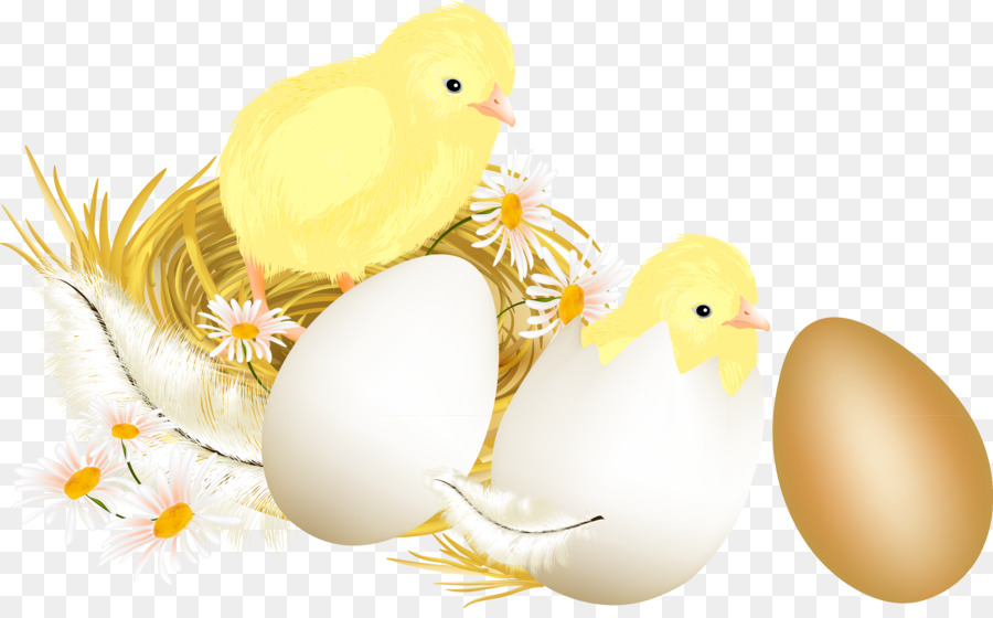 Conejito De Pascua，Pollo PNG