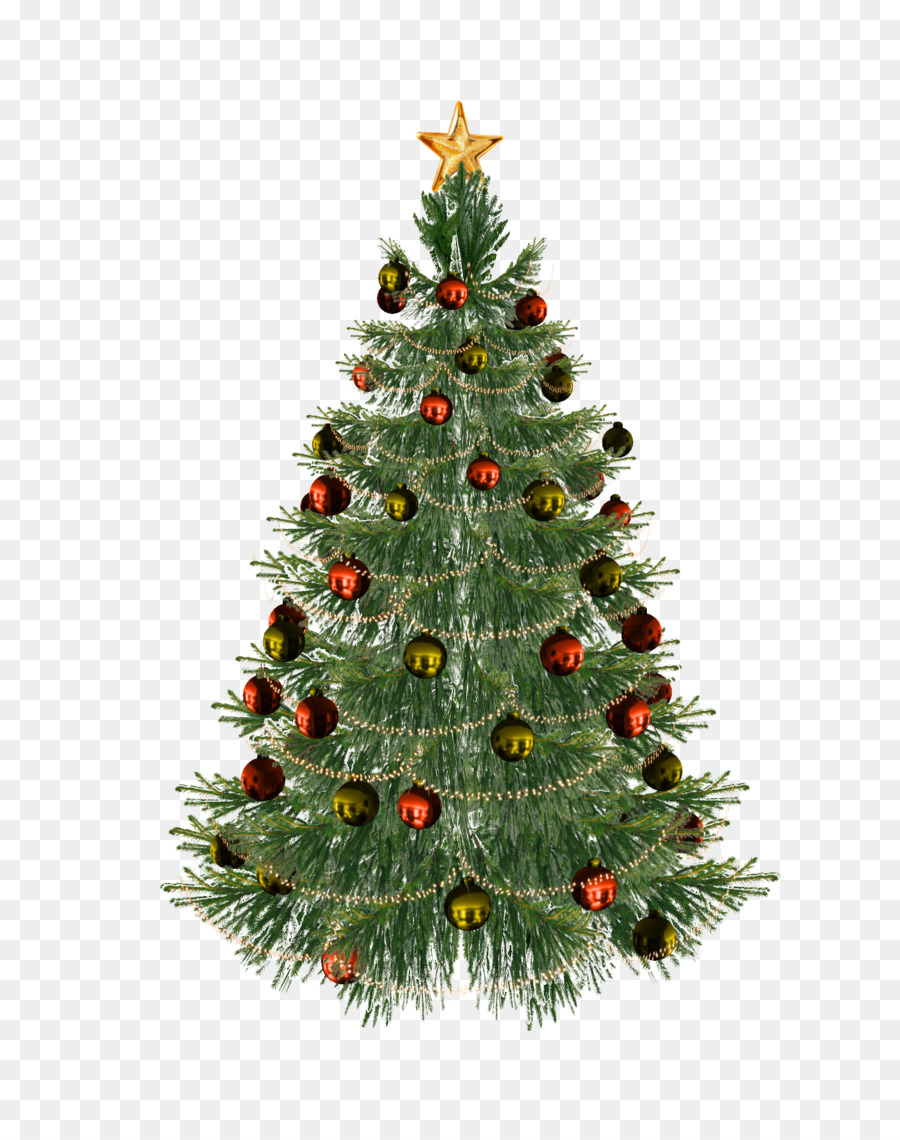 Árbol De Navidad，Árbol PNG