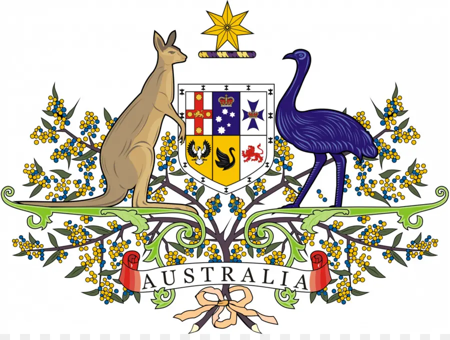 Escudo De Armas Australiano，Canguro PNG