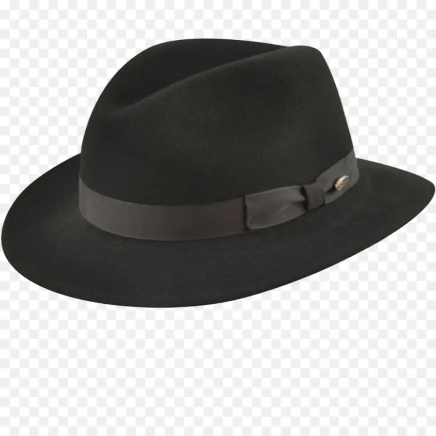 Fedora，Tiene PNG