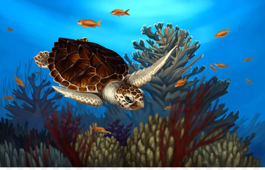 Tortuga，Reptiles PNG