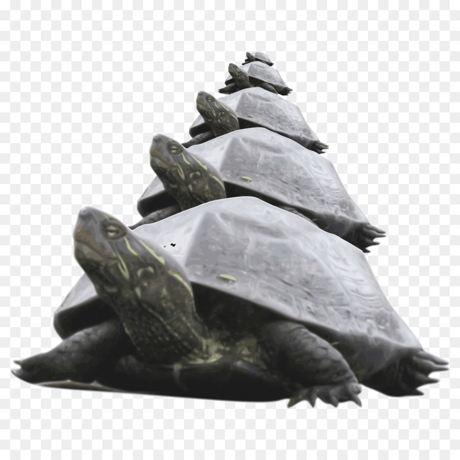 Tortugas，Apilados PNG