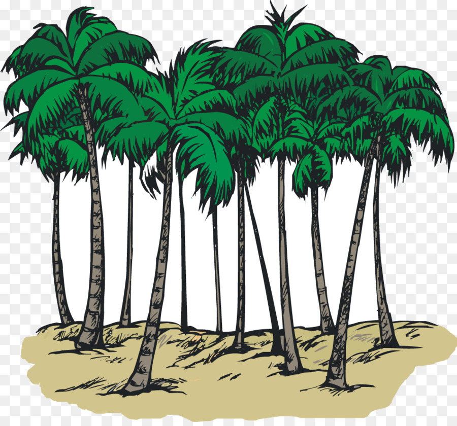 Carolina Del Sur，Sabal Palm PNG