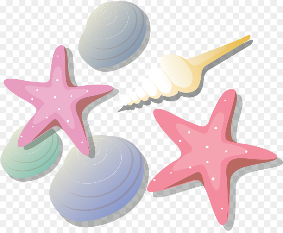 Estrella De Mar，Dibujo PNG