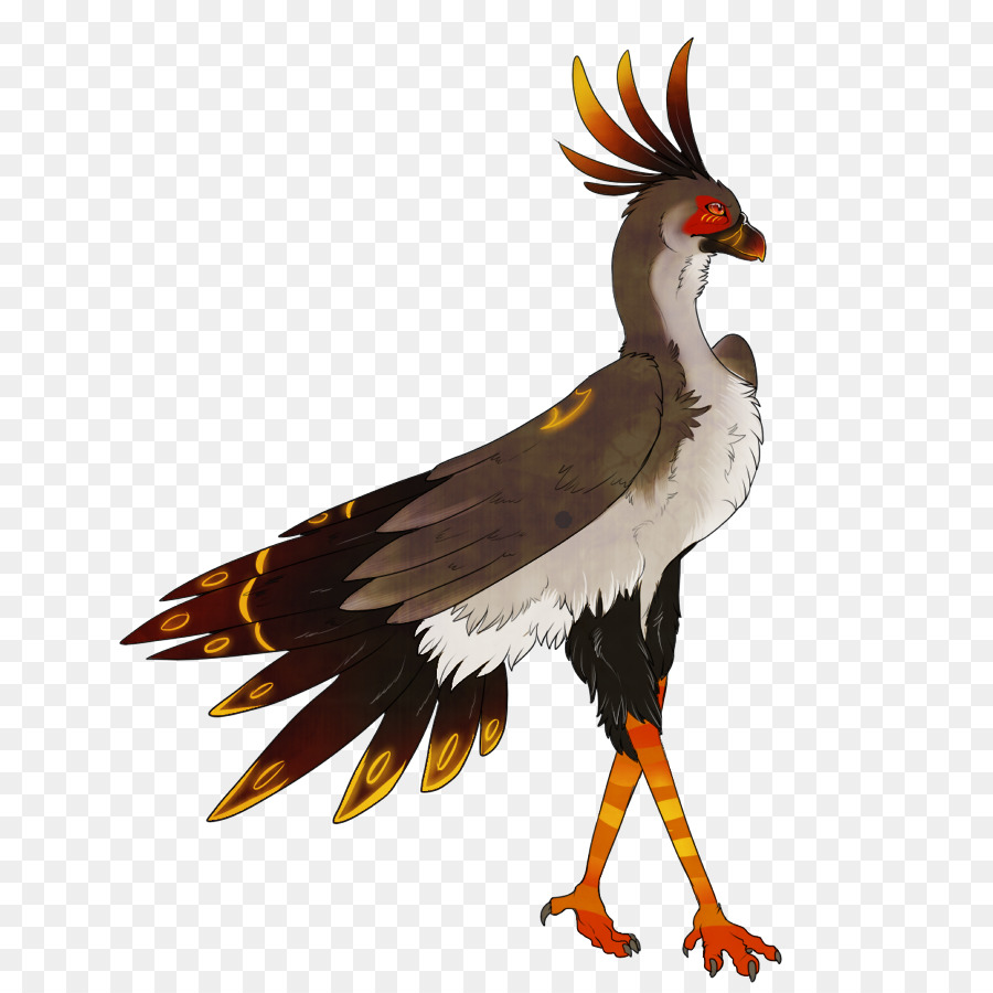 Pájaro，Secretarybird PNG