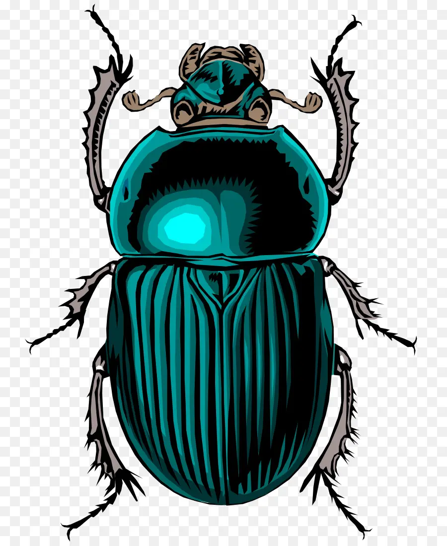 Escarabajo Azul，Bicho PNG